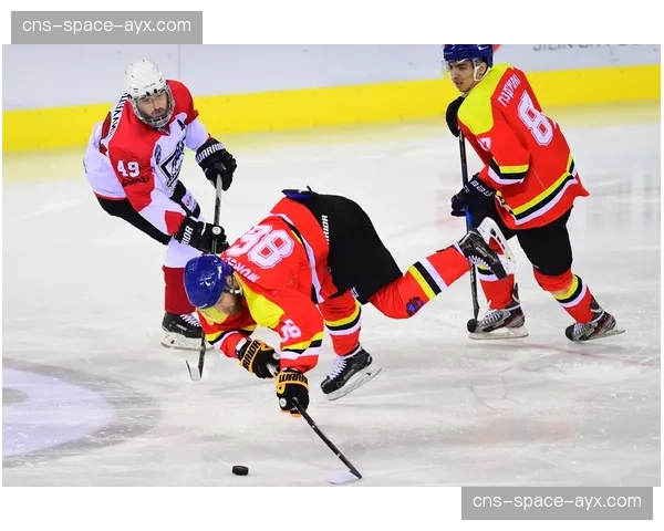 NHL季后赛席位之争白热化,西部外卡三队胜场差仅两场 NHL季后赛席位之争白热化,西部外卡三队胜场差仅两场